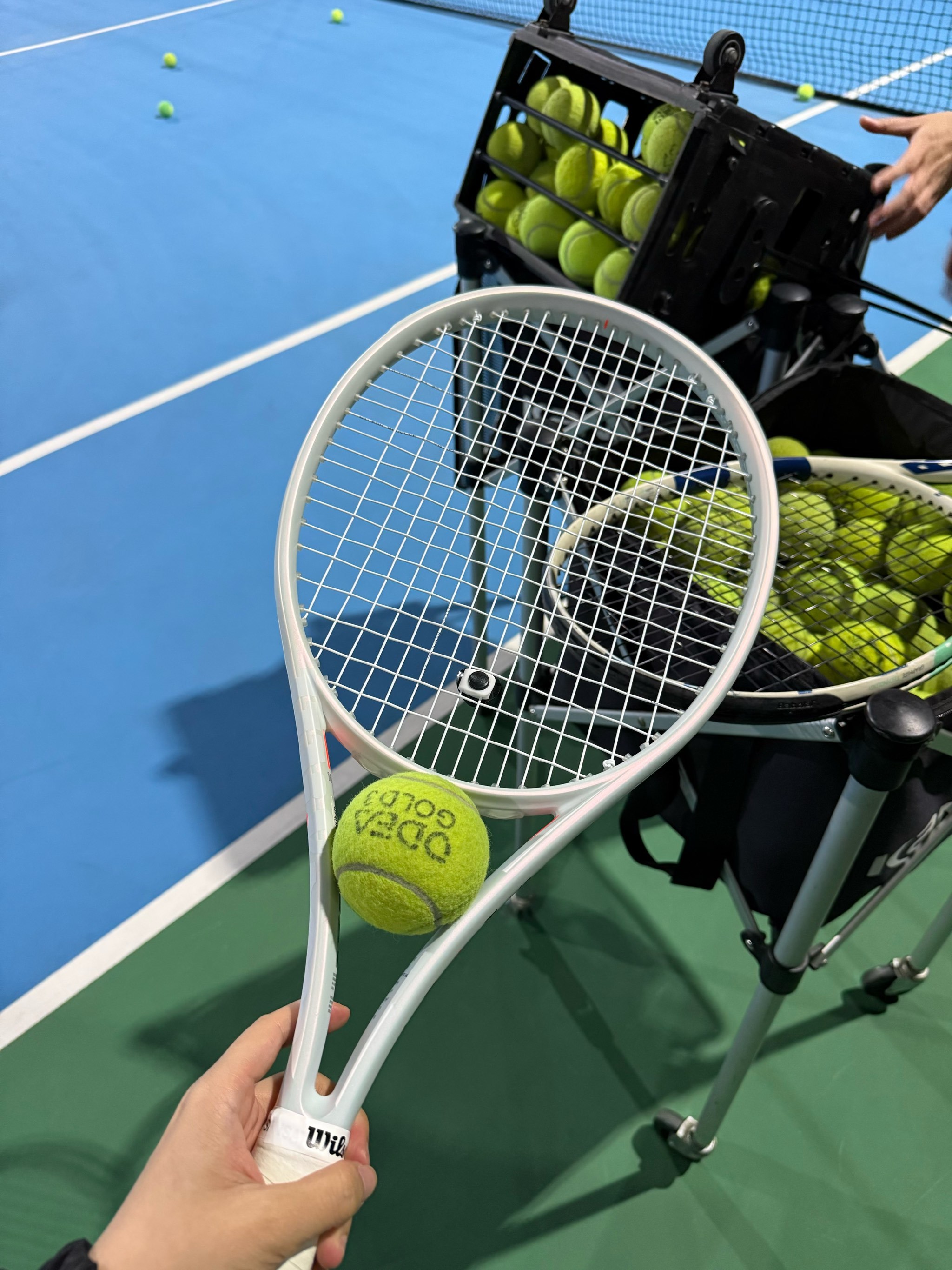 他们有6人 他们有6人